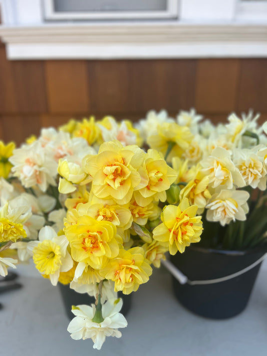 Kerri Payne's Free Client Appreciation Floral Bundle