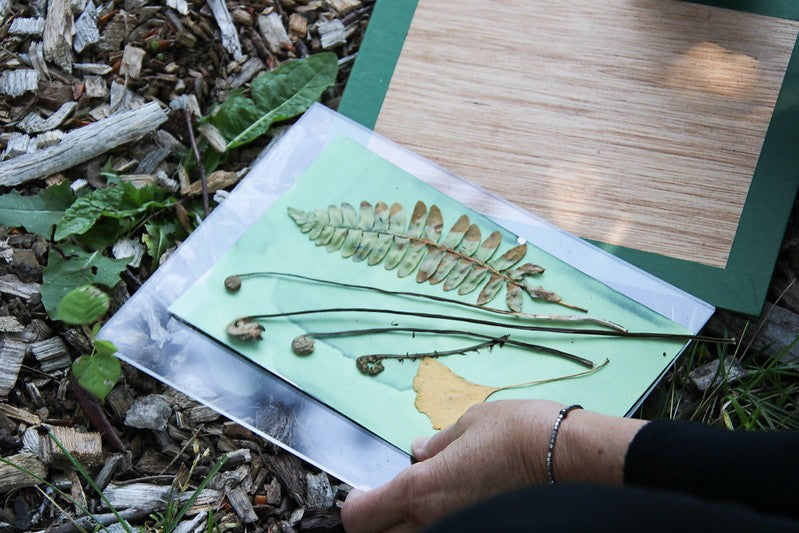 Beginner Cyanotyping Workshop with Madge Evers
